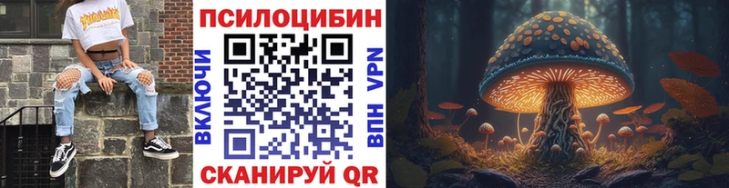Купить где  Рузаевка  Псилоцибиновые грибы Cubensis 