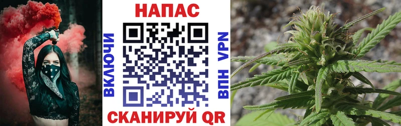 Купить  Рузаевка  Канабис индика 